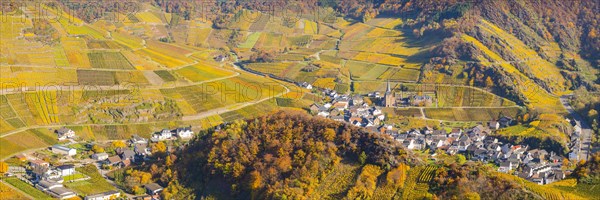 Vineyards in autumn, Mayschoss with parish church, red wine growing region Ahrtal, red wine of the