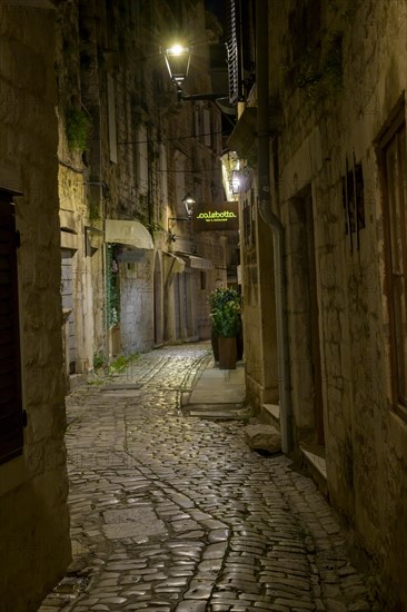 Night scene of a narrow alley with cobblestone floor and illuminated signs on the buildings,