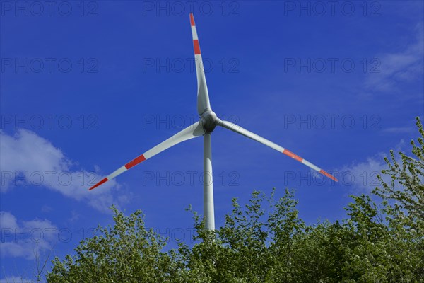 Wind turbine behind green trees at the Avacon substation Helmstedt, Helmstedt, Lower Saxony,