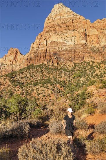 Jogger on the Watchman Trail, Watchman Mountain, Zion National Park, Colorado Plateau, Utah, USA,