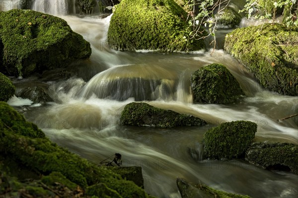 Mountain stream in the forest with mossy basalt rocks, blocks of basalt in the stream bed, Tertiary