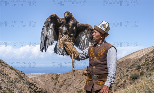 Traditional Kyrgyz eagle hunter with eagle in the mountains, hunting, eagle spreads its wings, near