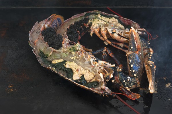 Grilled lobster (homarus) with kabviar and vegetables on a plancha, Atlantic coast, Vandee, France,