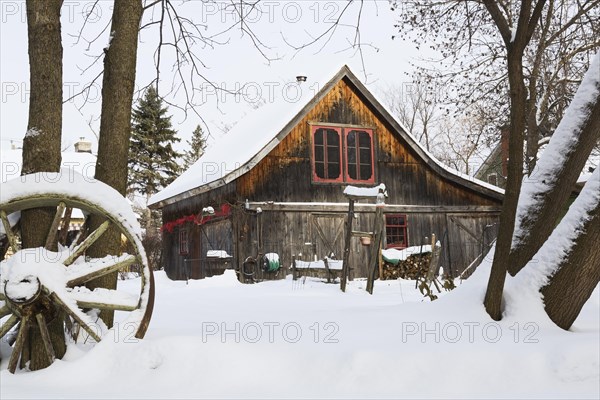 Old wooden rustic barn with red trimmed windows framed by trees in backyard garden in winter,