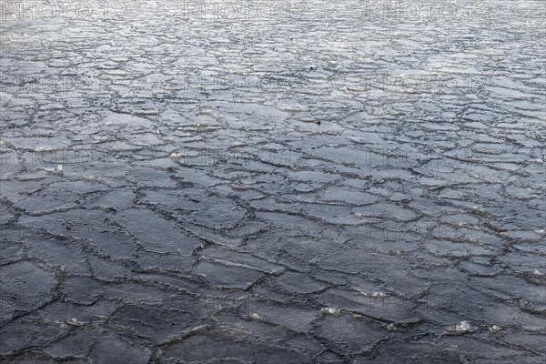 Winter, ice pattern formation, Chateauguay River, Province of Quebec, Canada, North America