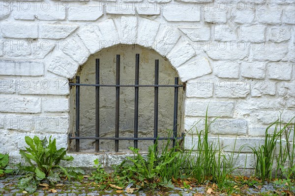 Barred cellar window and dandelion in the historic old town of Rostock, Mecklenburg-Vorpommern,