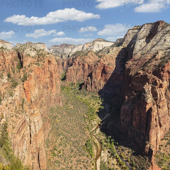 View of Zion Canyon from Angels Landing, Zion National Park, Colorado Plateau, Utah, USA, Zion