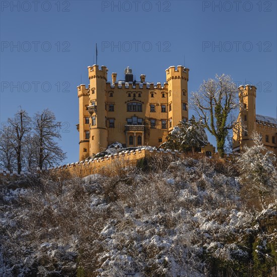 Hohenschwangau Castle, Schwangau near Fuessen, Allgaeu, Bavaria, Germany, Fuessen, Bavaria,