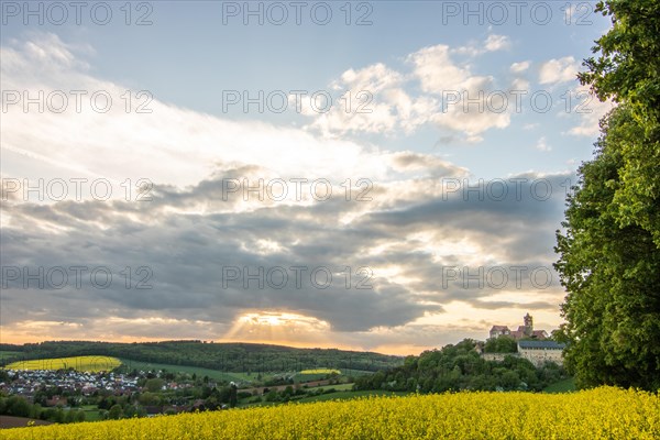 Landscape at sunrise. Beautiful morning landscape with fresh yellow rape fields in spring. Small