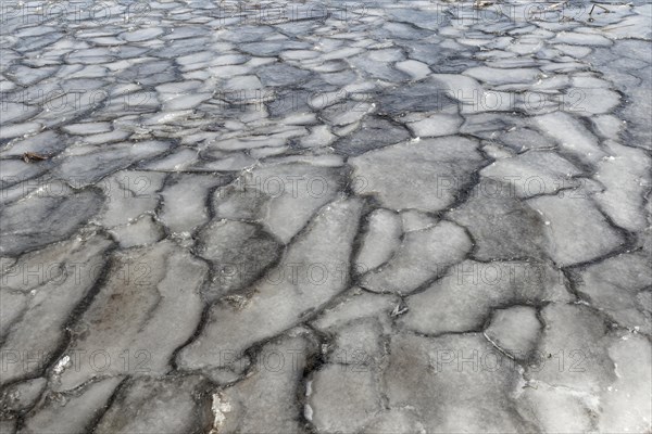 Winter, ice pattern formation, Chateauguay River, Province of Quebec, Canada, North America