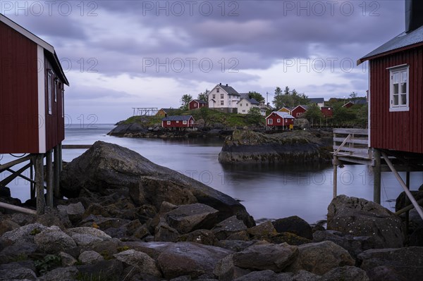 Typical red wooden houses on wooden stilts (rorbuer) in Nusfjord, white houses in the background.