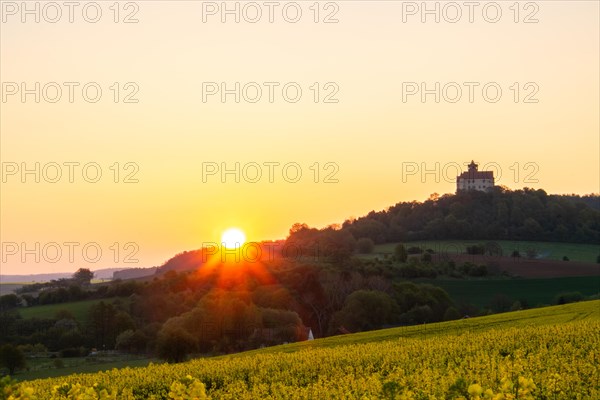 Landscape at sunrise. Beautiful morning landscape with fresh yellow rape fields in spring. Small