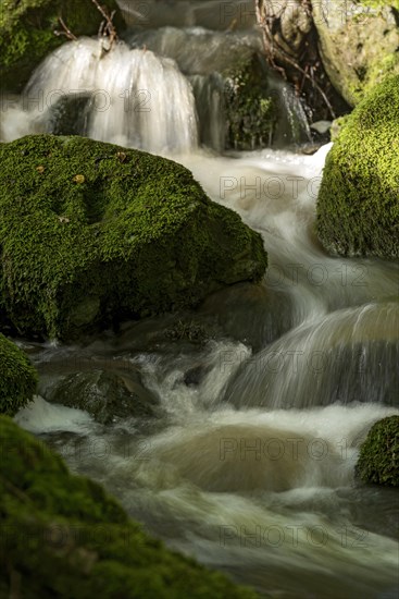 Mountain stream in the forest with mossy basalt rocks, blocks of basalt in the stream bed, Tertiary