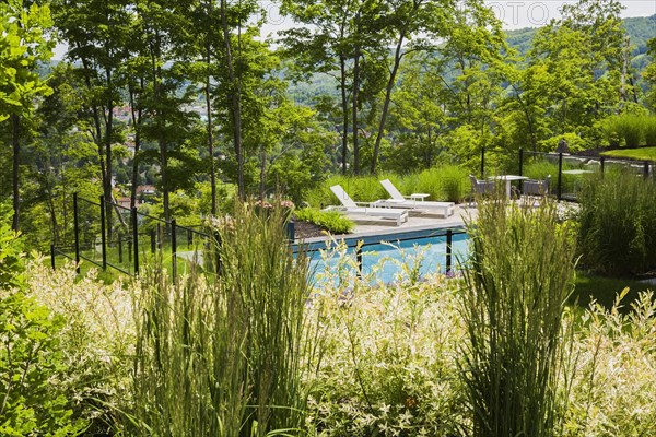 View through ornamental grass plants and shrubs of two white long chairs on edge of in-ground