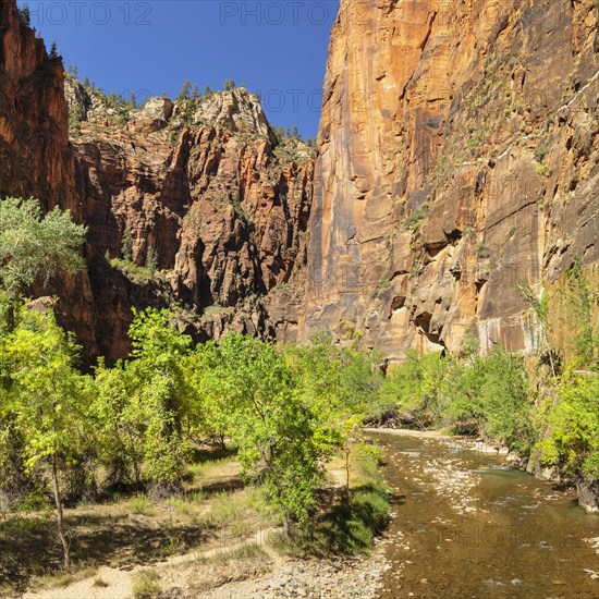 Riverside Walk, Temple of Sinawava, Zion National Park, Colorado Plateau, Utah, USA, Zion National