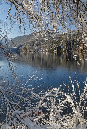 Hotel Alpenrose am Alpsee, Schwangau, Ostallgaeu, Swabia, Bavaria, Germany, Schwangau, Ostallgaeu,