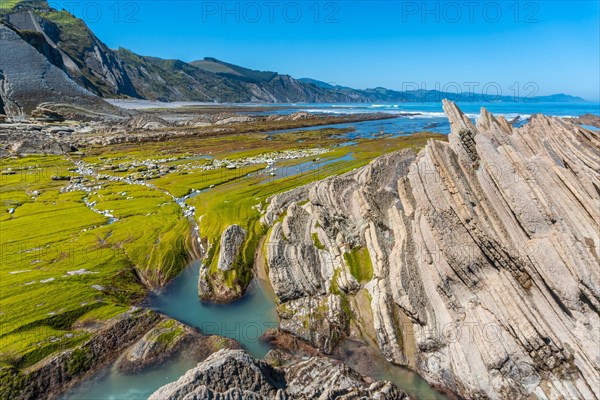 Landscape of the Flysch Basque Coast geopark in Zumaia with low seas with marine vegetation,