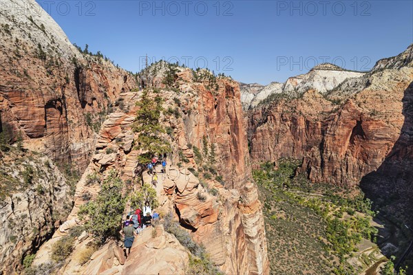 Descent from Angels Landing, Zion National Park, Colorado Plateau, Utah, USA, Zion National Park,