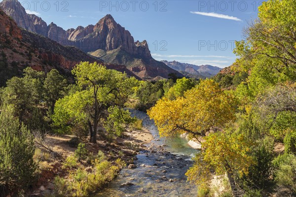 View from Virgin River to Watchman Mountain, Zion National Park, Colorado Plateau, Utah, USA, Zion