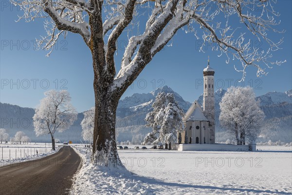 Pilgrimage church of St Coloman near Schwangau, Allgaeu, Swabia, Bavaria, Germany, Schwangau,