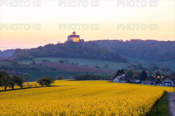 Landscape at sunrise. Beautiful morning landscape with fresh yellow rape fields in spring. Small