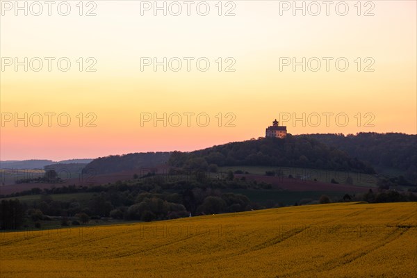 Landscape at sunrise. Beautiful morning landscape with fresh yellow rape fields in spring. Small