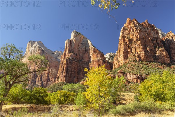 Court of Patriarchs, Zion National Park, Colorado Plateau, Utah, USA, Zion National Park, Utah,