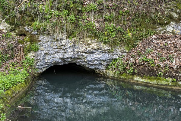 The Grosse Lauter disappears into the limestone, Grosses Lautertal near Lauterach, Munderkingen,