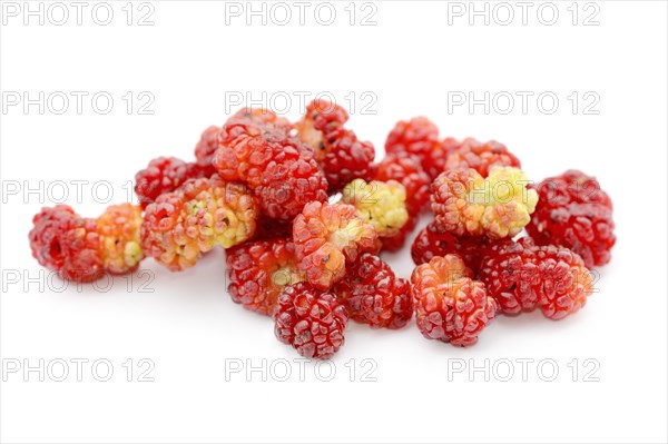 Strawberry spinach (Chenopodium foliosum, Blitum virgatum), fruits on a white background, vegetable