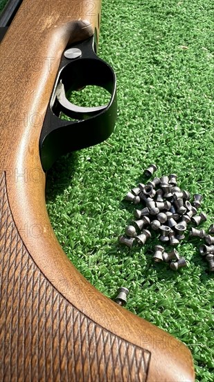 Detail of a shotgun and buckshot on a green background. Illegal hunting is quite common and is