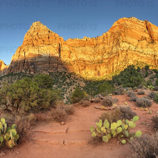 Watchman Mountain, Zion National Park, Colorado Plateau, Utah, USA, Zion National Park, Utah, USA,