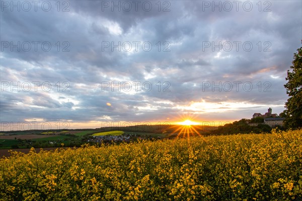 Landscape at sunrise. Beautiful morning landscape with fresh yellow rape fields in spring. Small