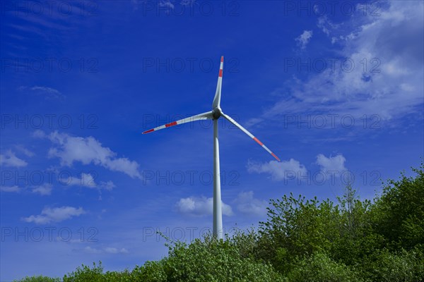 Wind turbine behind green trees at the Avacon substation Helmstedt, Helmstedt, Lower Saxony,