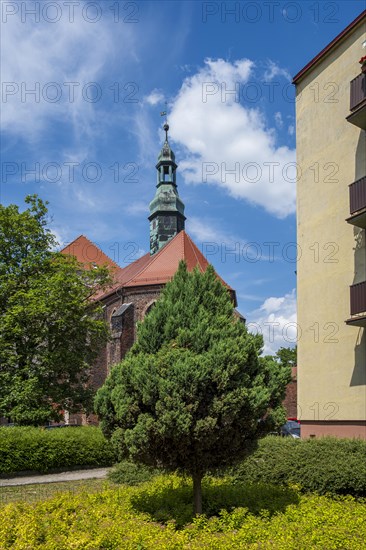 Roman Catholic Franciscan Church, parish church of St Francis of Assisi and St Peter of Alcantara