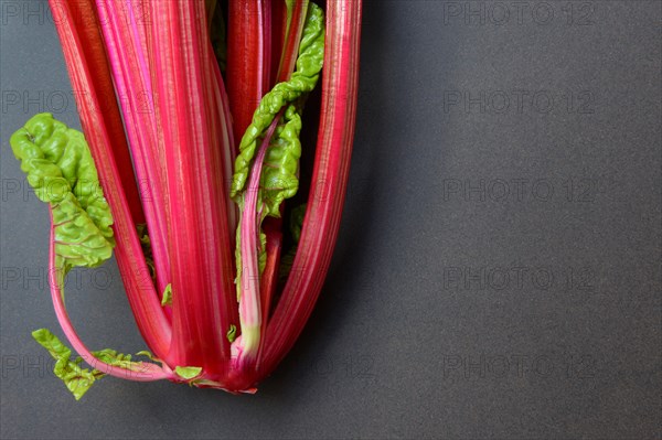 Chard with red stems, Beta vulgaris
