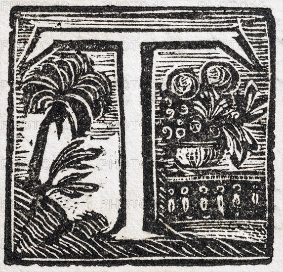 Initial or an initial T, decorative initial letter, woodcut, Mark Catesby, Natural History of