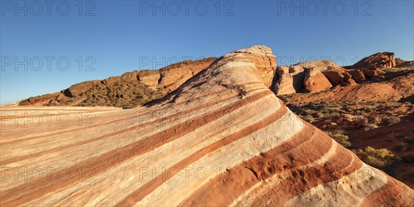 Fire Wave, Valley of Fire State Park, Nevada, United States, USA, Valley of Fire, Nevada, USA,