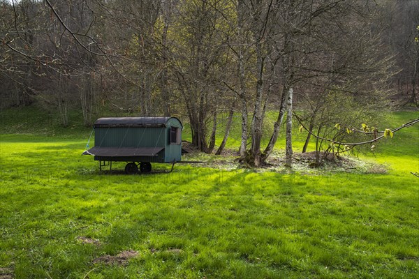 Shepherd's cart in a meadow in the Wiesaztal valley in the Swabian Alb near Goenningen,