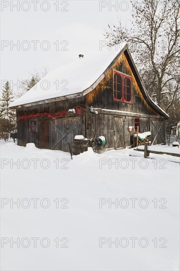 Old wooden rustic barn with red trimmed windows and Christmas decorations in winter, Quebec,
