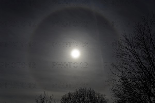 Nature, astronomy, halo during the total solar eclipse 2024, Province of Quebec, Canada, North
