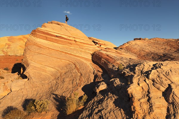 Fire Wave, Valley of Fire State Park, Nevada, United States, USA, Valley of Fire, Nevada, USA,