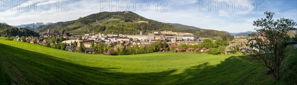 Cows grazing in front of the Donawitz steelworks of voestalpine AG, panoramic view, Donawitz