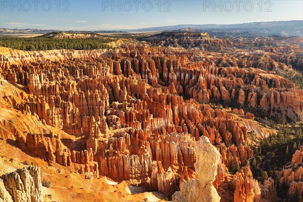 Bryce Amphitheatre at sunset, Bryce Canyon National Park, Colorado Plateau, Utah, United States,