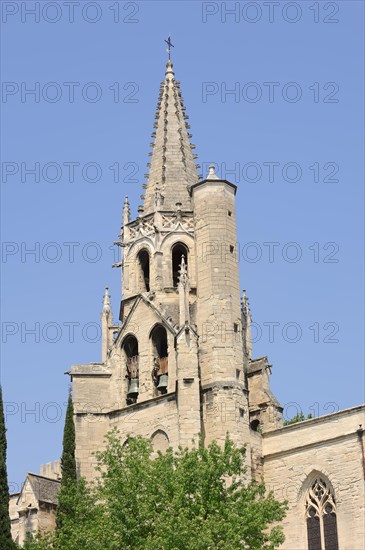 Church of Saint Pierre, Avignon, Vaucluse, Provence-Alpes-Cote d'Azur, South of France, France,