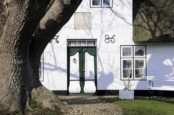 House entrance, Keitum, Sylt, North Frisian Island, White thatched house with green door and