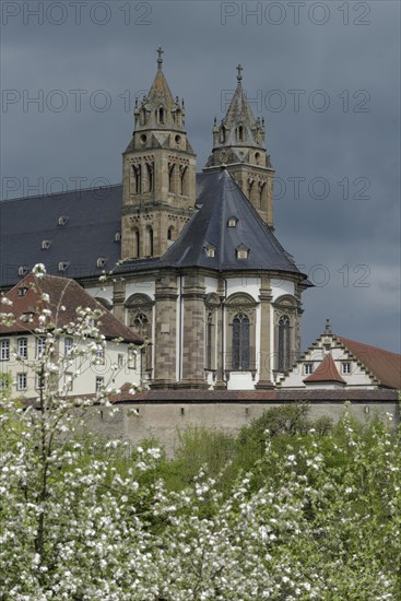View of the Comburg, fruit blossom, fruit tree, spring, April, Way of St James, Benedictine