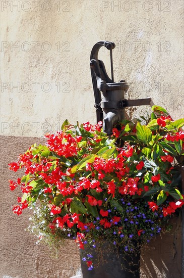 Kaysersberg, Alsace Wine Route, Alsace, Departement Haut-Rhin, France, Europe, Old black water pump