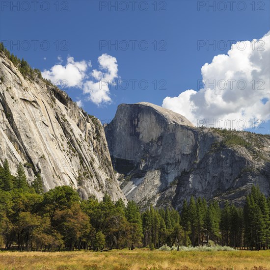 Half Dome, Yosemite National Park, California, United States, USA, Yosemite National Park,