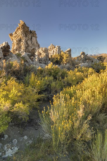 Tufa formations at Mono Lake, Mono Lake Tufa State Reserve, California, USA, Mono Lake Tufa State