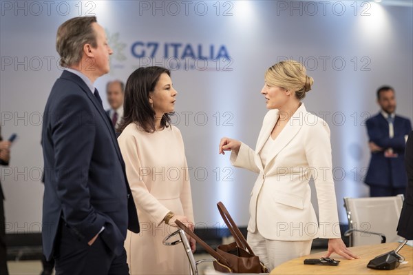 David Cameron, Foreign Secretary of the United Kingdom, Annalena Baerbock (Alliance 90/The Greens),
